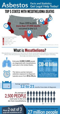 Asbestos Mesothelioma Exposure Infographic